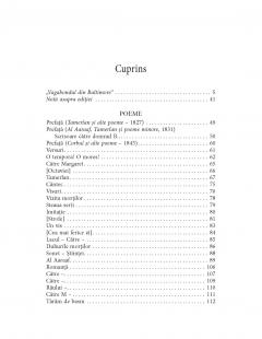 Integrala poetica. Eseuri