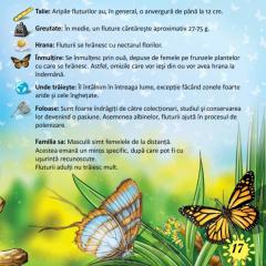 Prima mea enciclopedie. Insecte