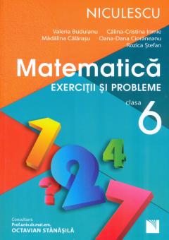 Matematica. Exercitii si probleme