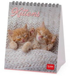 Calendar de birou - Ianuarie 2026 - Decembrie 2026 - Kittens