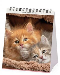Calendar de birou - Ianuarie 2026 - Decembrie 2026 - Kittens