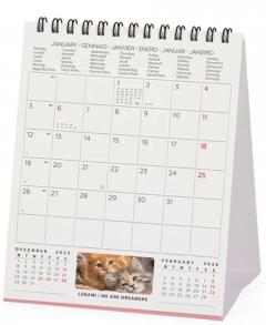 Calendar de birou - Ianuarie 2026 - Decembrie 2026 - Kittens