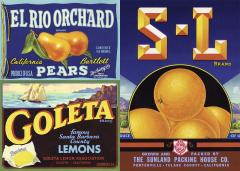 Slab Serif Type