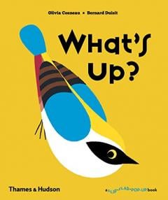 What's Up? Olivia Cosneau