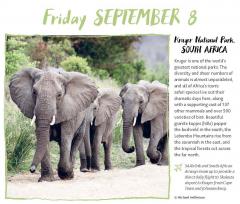 Calendar 2017 - Lonely Planet