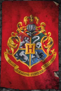 Poster mare - Harry Potter - Hogwarts Flag GB Eye