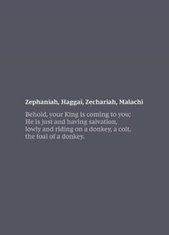 NKJV Bible Journal - Zephaniah, Haggai, Zechariah, Malachi: Holy Bible, New King James Version