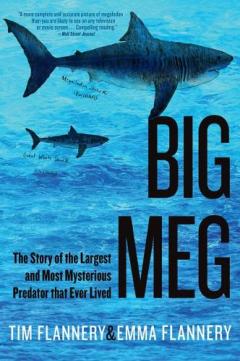 Big Meg: The Story of the Largest and Most Mysterious Predator That Ever Lived