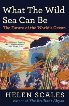 What the Wild Sea Can Be: The Future of the World's Ocean