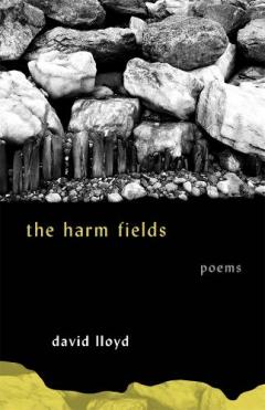 Coperta cărții The Harm Fields: Poems