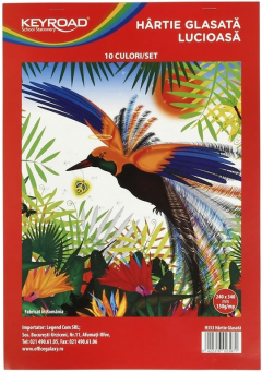 Hartie glasata lucioasa - 10 culori