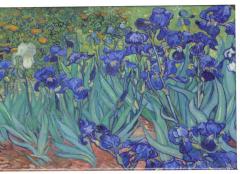 Magnet - Vincent Van Gogh Les Iris 1889