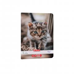 Caiet A5 Tip I - Cats & Dogs, mai multe modele