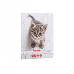 Caiet A5 Tip I - Cats & Dogs, mai multe modele