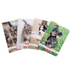 Caiet A5 Tip I - Cats & Dogs, mai multe modele