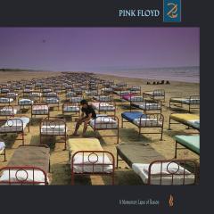 A Momentary Lapse Of Reason - Vinyl