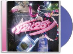 Y2K25: The Music That Made the Millennium