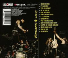 Pornograffitti Live 25