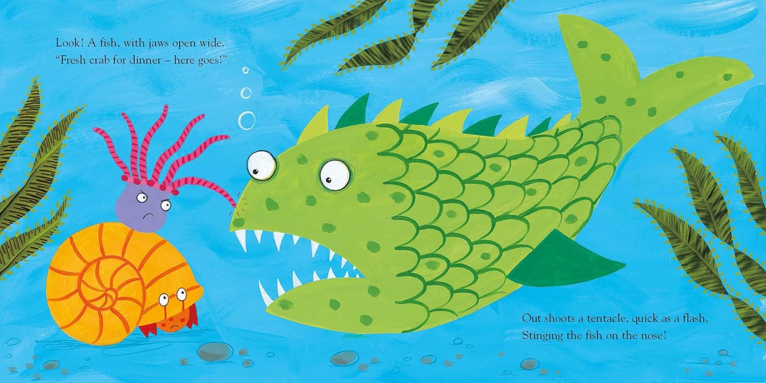 Sharing a Shell - Julia Donaldson