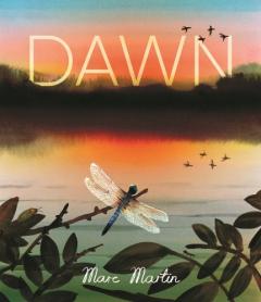 Coperta cărții Dawn