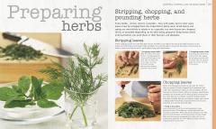 Herb and Spices The Cook's Reference