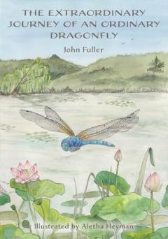 The Extraordinary Journey of an Ordinary Dragonfly