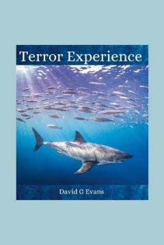 Coperta cărții Terror Experience