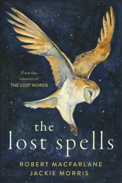 Coperta cărții The Lost Spells