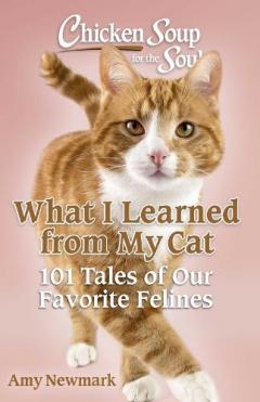 Chicken Soup for the Soul: What I Learned from My Cat: 101 Tales of Our Favorite Felines