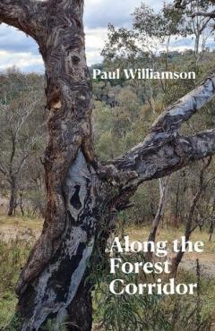 Coperta cărții Along the Forest Corridor
