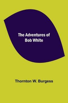 Coperta cărții The Adventures of Bob White
