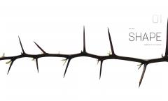 Biomimetics for Designers
