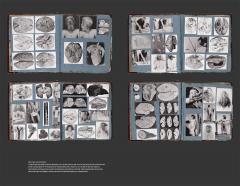 This Way Madness Lies