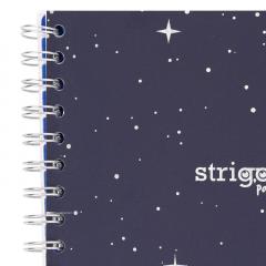 Caiet cu spirala si separatoare - Pads Project Book - SKY, B5, Matematica