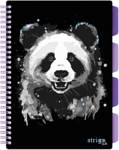 Caiet cu spirala si separatoare - Pads Project Book Panda - B5, Dictando