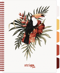 Caiet cu spirala si separatoare - Pads Project Book -Tropical - A4, Matematica