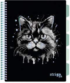 Caiet cu spirala si separatoare - Pads Project Book - Pisica - A4, Dictando