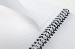 Caiet cu spirala si separatoare - Pukka Pads Executive Metallic Project - A5 Dictando