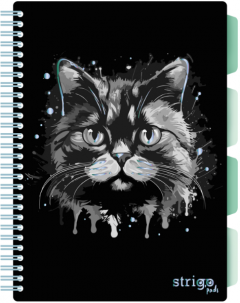 Caiet cu spirala si separatoare - Pads Project Book - Pisica - B5, Matematica