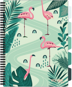Caiet cu spirala si separatoare - Pads Project Book - Jungle - A4, Matematica
