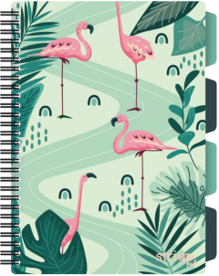 Caiet cu spirala si separatoare - Pads Project Book - Jungle - B5, Matematica