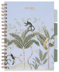 Caiet - Strigo Pads - Project Book Africa - Matematica B5, cu spirala si separatoare