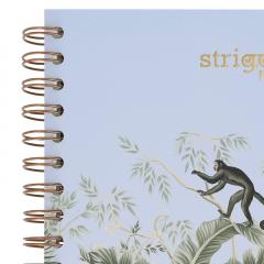 Caiet - Strigo Pads - Project Book Africa - Matematica B5, cu spirala si separatoare