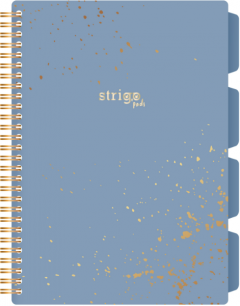 Caiet cu spirala si separatoare - Pads Project Book - Marmorat - B5, Matematica