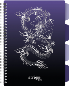 Caiet cu spirala si separatoare - Pads Project Book - Dragon - B5, Matematica