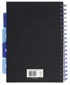 Caiet matematica cu spirala si separatoare B5 (100 file) - Strigo Pads Project Book (Tigru)