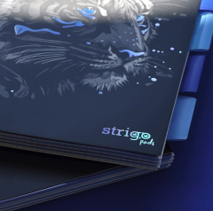 Caiet matematica cu spirala si separatoare B5 (100 file) - Strigo Pads Project Book (Tigru)