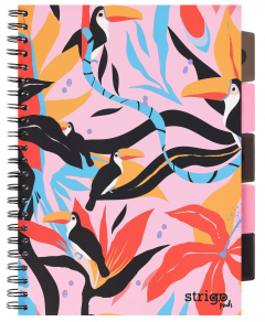 Caiet - Strigo Pads - Project Book Jungle Tucan - Matematica B5, cu spirala si separatoare