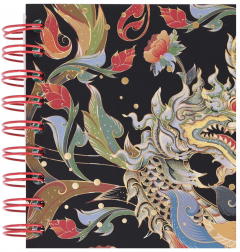 Caiet matematica cu spirala si separatoare B5 (100 file) - Strigo Pads Project Book (Dragon)