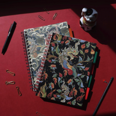 Caiet matematica cu spirala si separatoare B5 (100 file) - Strigo Pads Project Book (Dragon)